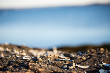 beach and sea