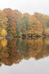 Small forest lake on a sunny autumn morning in Soderasen national park, Sweden.