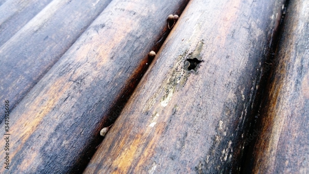 Poster a close-up of an old antique log from a log cabin. features a large knot that resembles an eye. lots