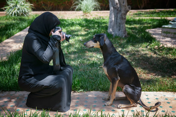 Beautiful Moroccan Arab muslim woman with traditional black niqab, photographs an obedient young Sloughi dog (Arabian greyhound)