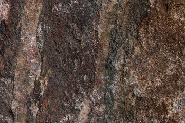 close up background and the texture of brown stone.