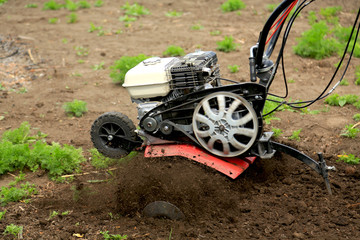 Cultivation of a garden by a motor-cultivator. Plowing the land. Loosening before landing. Farming...