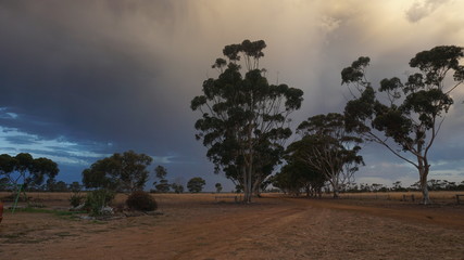 Fototapeta na wymiar Countryside before thunderstorm in Western Australia