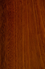 Mahogany tree texture. Close-up.