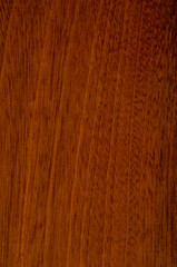 Naklejka premium Mahogany tree texture. Close-up.
