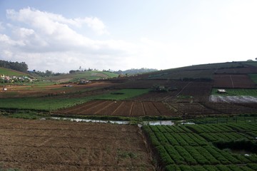 View from top of the hill