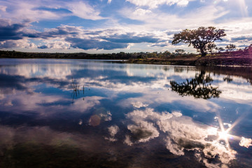 Lake with clouds reflected in the water and in the background a tree