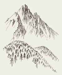 Nature drawing, mountains ranges and alpine forest sketch