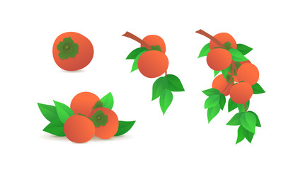Ripe orange persimmons icons set isolated on white background. Single fruit, fresh persimmons with green leaves and tree branch elements. Tropical juicy fruits vector illustration in flat style.