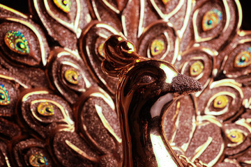 A beautiful gold peacock isolated on black background