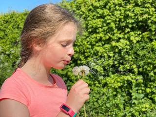 Little girl blows seeds from a Dandelion flower