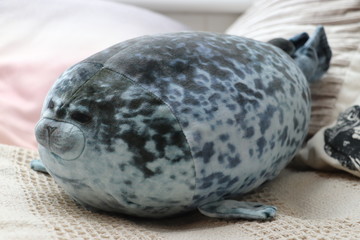 Chonky Seal 
