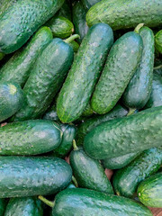 cucumbers in the market