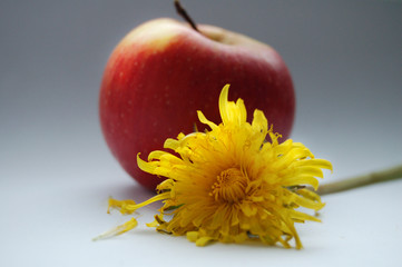 apple and flower