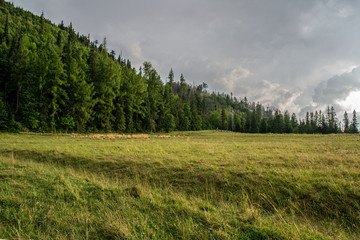 meadow and forest before the storm, Kościelisko, Podhale region, Poland, Droga pod Reglami