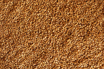 Background of buckwheat texture