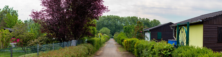 path in a allotment garden, hedges left and right on the path