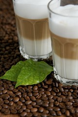 Kaffeebohnen, frisch, aromatisch Kaffee, latte macchiato, Milchschaum