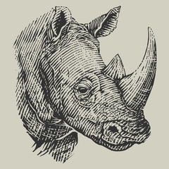 vector illustration of rhinoceros head in woodcut style © affan2fly