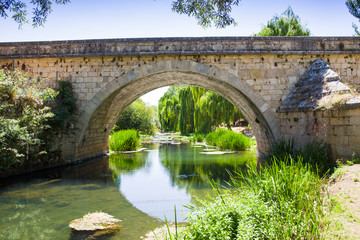 Fototapeta na wymiar Puente de piedra antiguo sobre el río Ucero en Soria, España