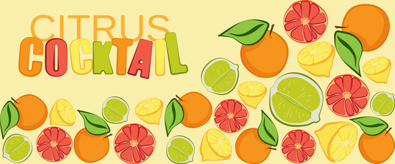 Cartoon color vector summer banner with fruits