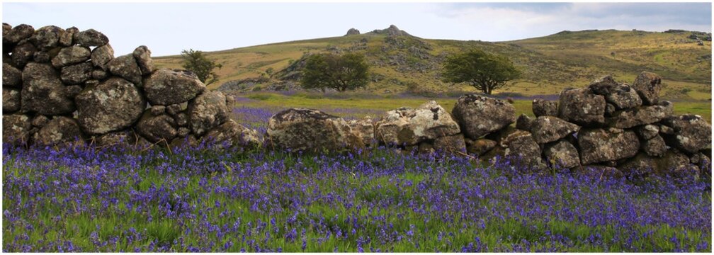 Scenic View Of Dartmoor National Park