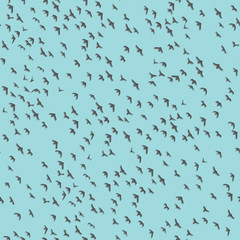 Flocks of birds in the sky. Vector repeat. Great for home decor, wrapping, scrapbooking, wallpaper, gift, kids, apparel. 