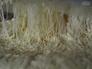 Home cooking.Airy yeast dough with bubbles close up.