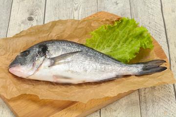 Raw Dorada fish  for cooking