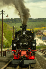 Fototapeta na wymiar Museumsbahn Preßnitztalbahn 
