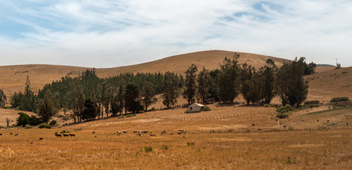 Obraz premium autumn landscape in the mountains