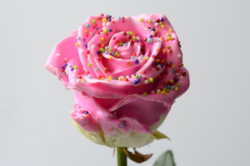 Pinky rose flower, imitation candy