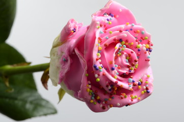 Pinky rose flower, imitation candy