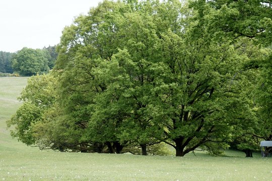Natur, Landschaft