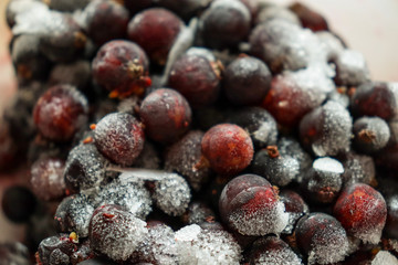 frozen currants