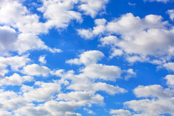 Naklejka na ściany i meble White clouds float high in the blue sky.
