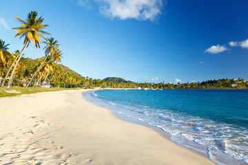 Perfect Caribbean Beach, Antigua - obrazy, fototapety, plakaty