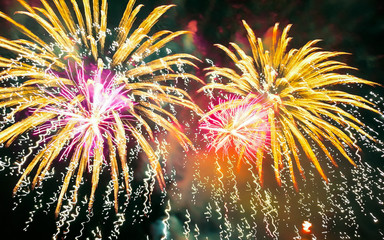 Colorful fireworks of various colors over night sky