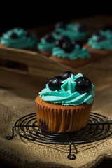 Cranberry cupcake with blue cream