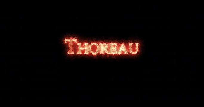 Thoreau written with fire. Loop