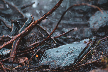 fire on the ground