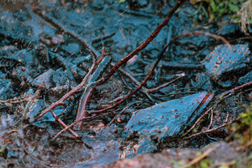 wet ground