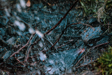 rain in the forest
