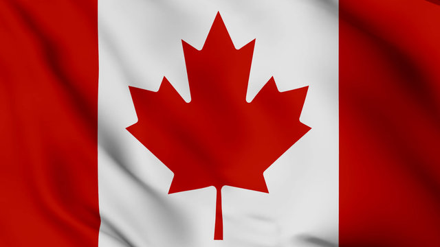 Canada flag is waving 3D animation. Canada flag waving in the wind. National flag of Canada