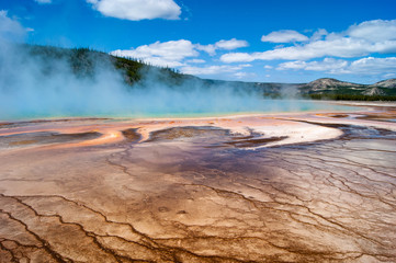 Veiny patterns of a Hot Spring