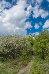 pionowy widok na ścieżkę wiodącą do skały © Mariusz Sowula