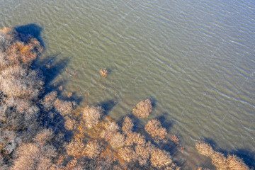 lake shore and waves from above