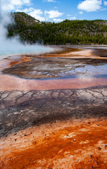 Snaking Orange from a Hot Spring