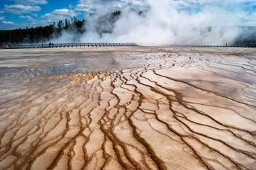 Hot Spring Extended Veins