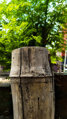 Fototapeta premium old wooden bench